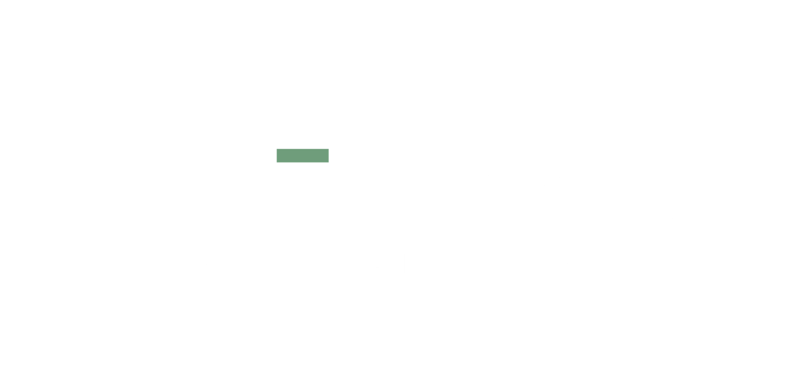Banner Scale Logo PNG