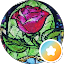 D M Avatar