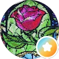 D M Avatar